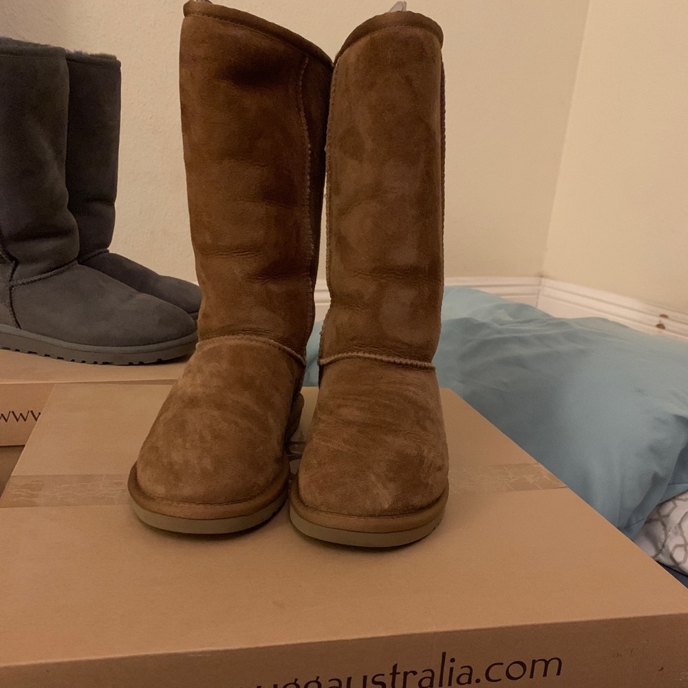 Ugg boots classic tall